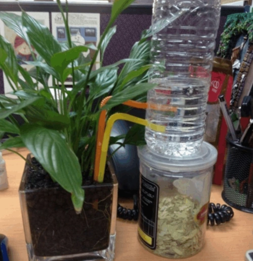 用吸管和矿泉水瓶制作简单的自动浇花装置diy方法图解教程