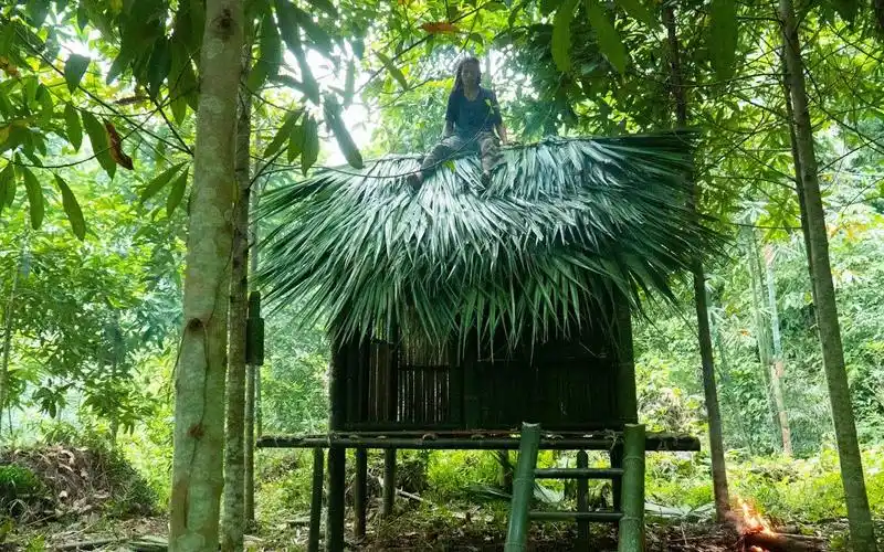 原始丛林人-6个月的丛林生存,第168集-完成森林中的别墅,荒野独行