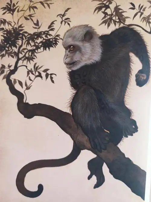 每日分享山海经之举父