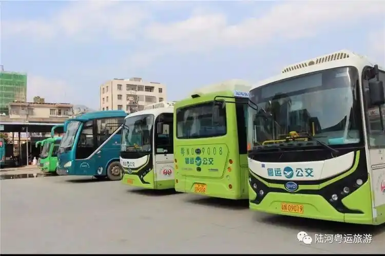 兢兢业业十六载事必躬亲成模范记陆河粤运车站副站长叶树何