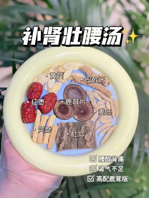 补肾壮腰汤男女皆饮