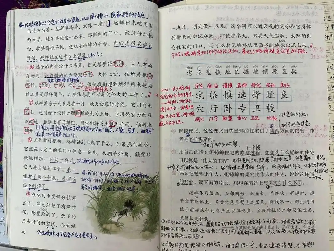 46615上备课笔记/《蟋蟀的住宅》05 #语文笔记# #四年级上册