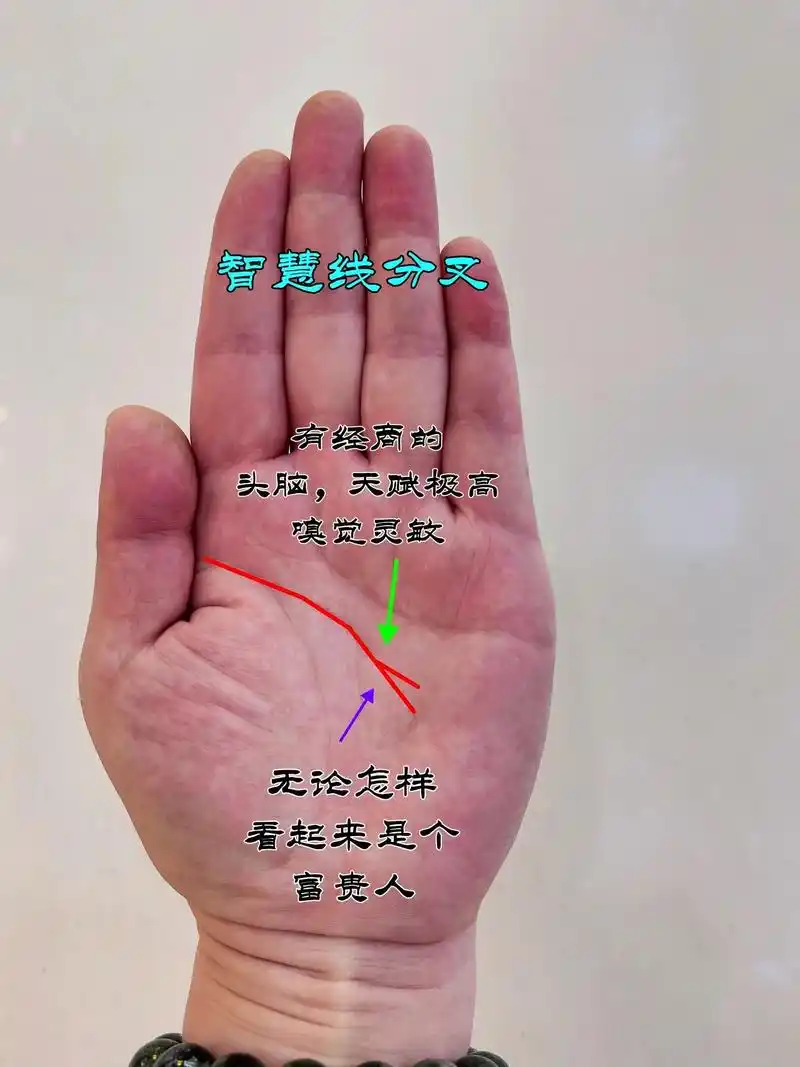 掌纹的秘密 #川字手掌 #原创作品 #星座吐槽大会 - 抖音