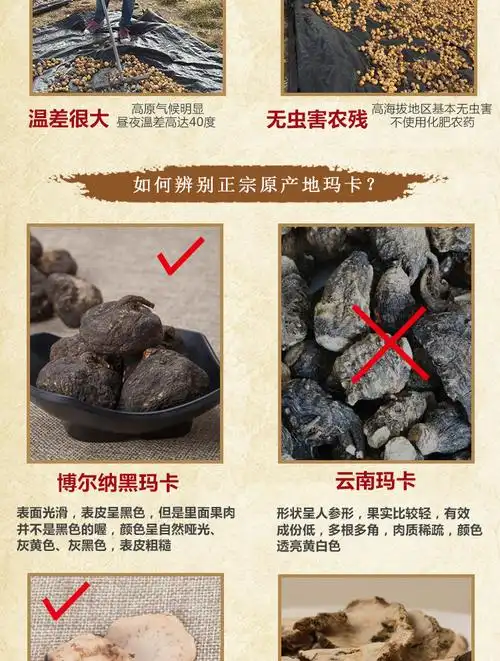 南美玛卡干果玛卡片干片黑玛卡干果玛咖切片泡酒男性滋补【图片 价格