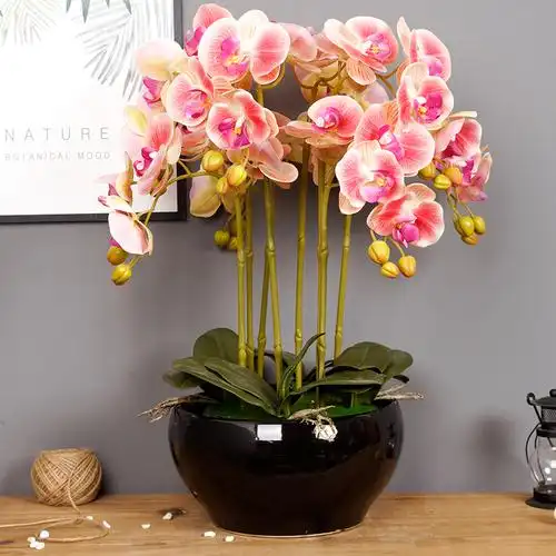 原创特色 黑色陶瓷桌面大花盆 种植蝴蝶兰仿真花送礼客厅办公室_5折