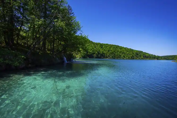 克罗地亚,公园,湖泊,森林,plitvice lakes national park,大自然,照片
