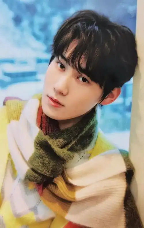 时代少年团《冬日记忆》写真套装团单人固卡扫图    其他扫图小姚