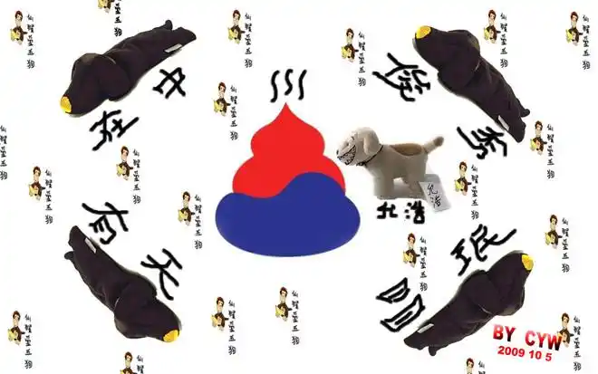 最有文化内涵的韩国国旗