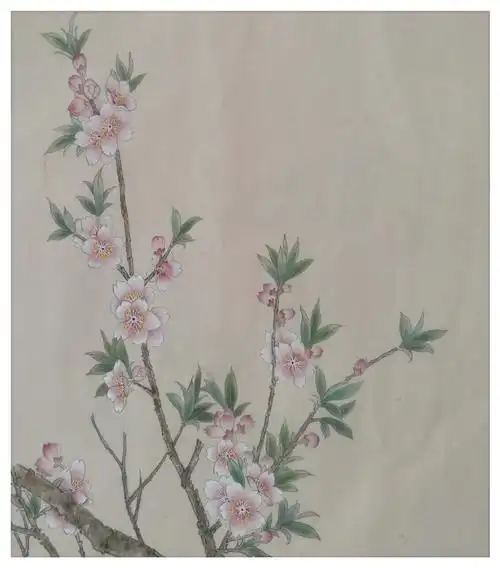 阶段作业工笔花鸟写生