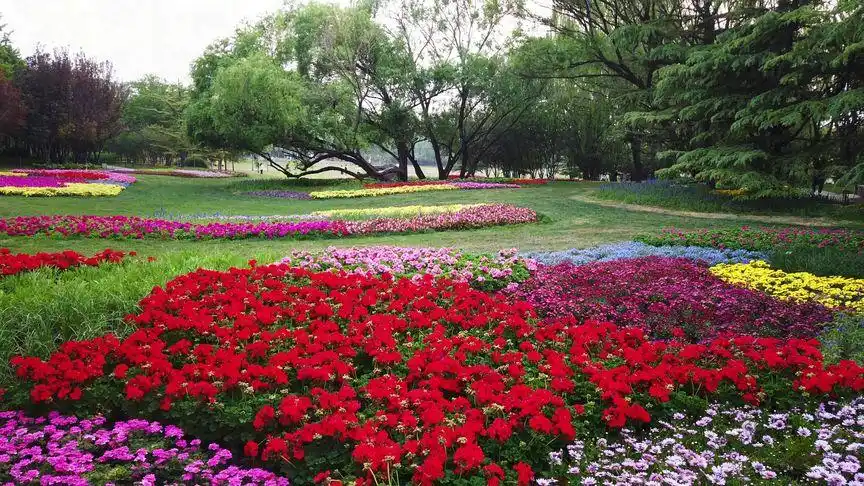 五一小长假,海淀公园淀园花谷的美好时光