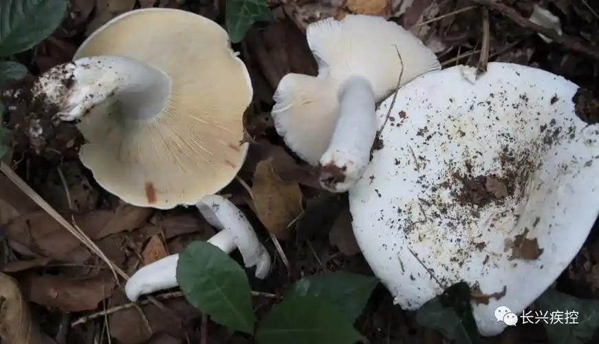 狂 | 送 | 手 | 机| 费|领手机话费