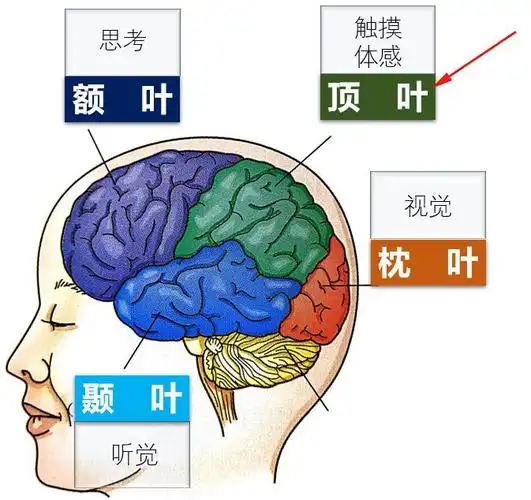 《学习科学》课程第一单元成果展示_理解