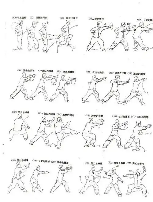 螳螂拳《梅花掌》