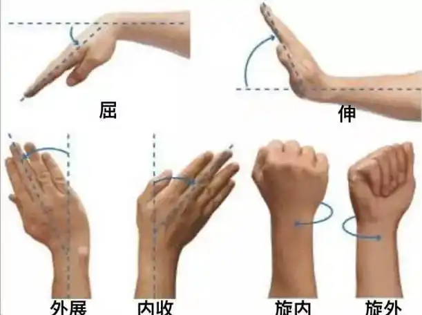 八段锦关节内旋外旋顺逆运动光看文字晕头转向练一练就简单了