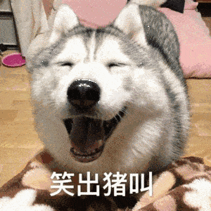 300_300gif 动态图 动图