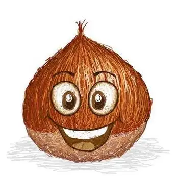 栗子矢量_图品汇