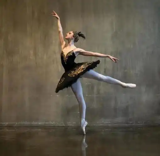 莫斯科芭蕾舞剧院《天鹅湖》12月17日在长沙上演_腾讯新闻