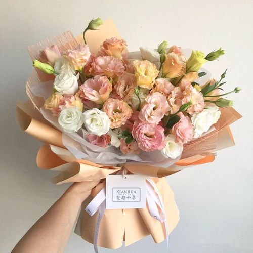 洋桔梗花束生日礼物生日花北京上海广州深圳全国同城配送 香槟色桔梗