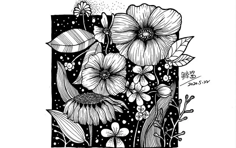 【自制】手绘黑白装饰画之花卉系列2