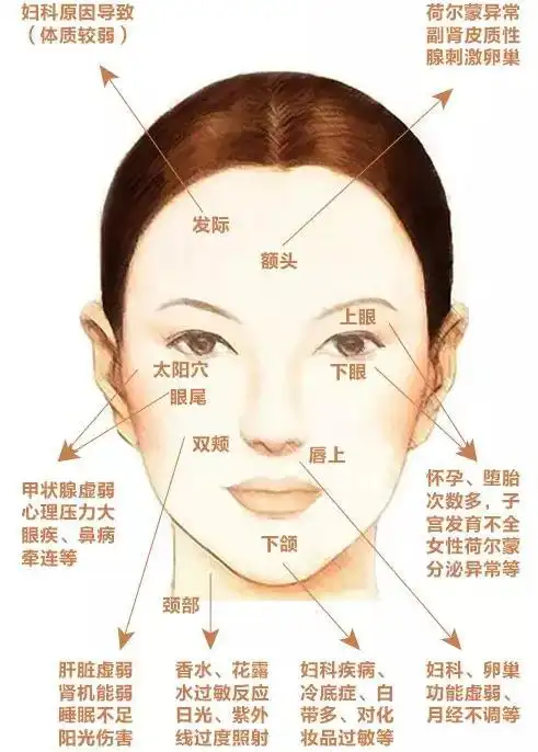 长斑的位置图解 (27)_有来医生