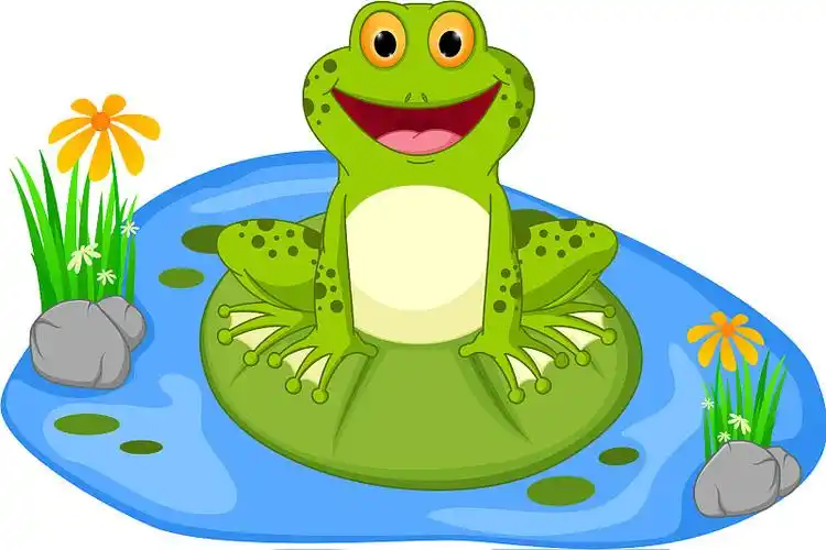 快乐的青蛙卡通坐在一片树叶上图片