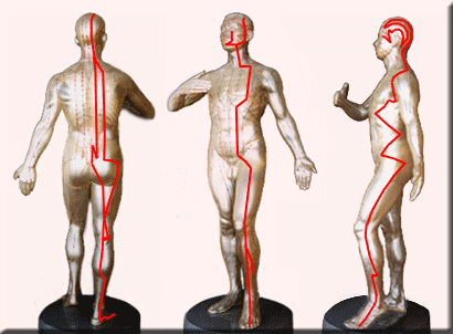 十二经络图人体经络循行动画图和主治疾病人人必知图文