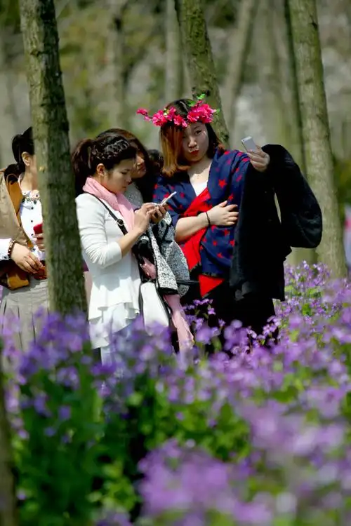 顾村公园-自拍(一)