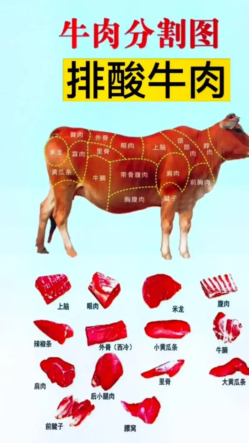 抖音图文来了#牛肉,各种部位的吃法都不一样,今天我把最详细 - 抖音
