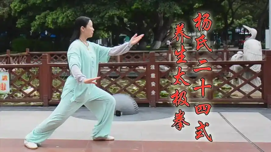 杨氏24式养生太极拳
