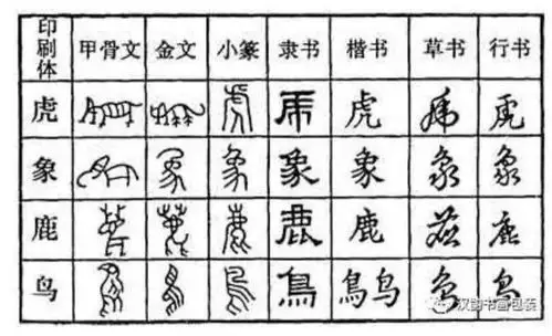 年轻的心的美篇