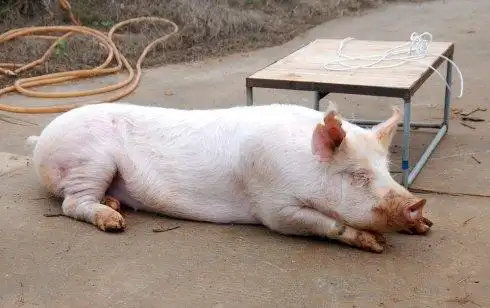 一意孤行,迎来人生第一桶金