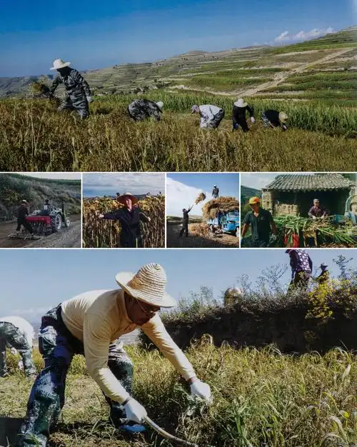 李全毅  《到人民中去》(组照)2015年(宁夏隆德,张程,李哈拉)