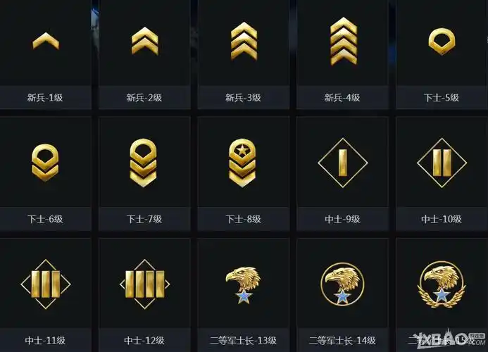 csgo全军阶及等级徽章