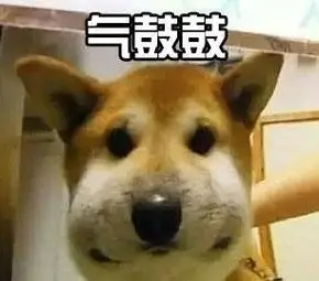 气鼓鼓 - 气鼓鼓气鼓鼓(汪星人)_气鼓鼓表情