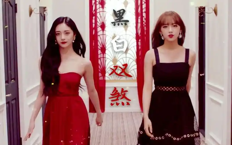 程潇x周洁琼黑白双煞