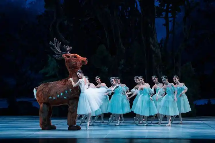 收获艺术体验与情感共鸣!世界经典芭蕾舞剧《灰姑娘》新编首演