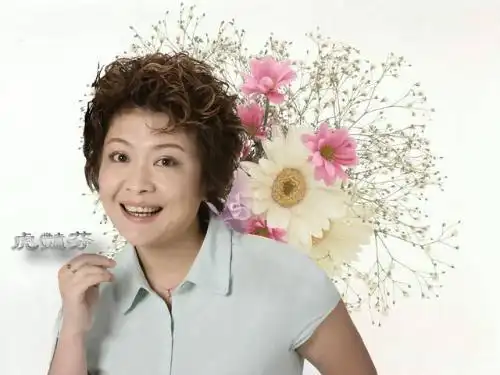 外来媳妇本地郎/虎艳芬在剧中电的那个是什么发型