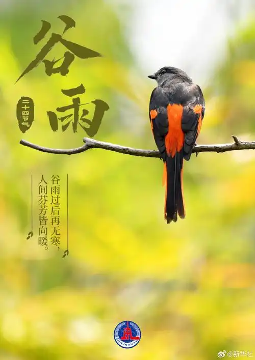 【今日谷雨】①北京时间#4月19日21时59分迎来谷雨#.