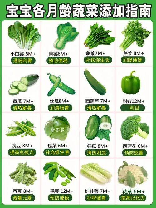 常见绿色蔬菜辅食添加顺序和营养价值做法