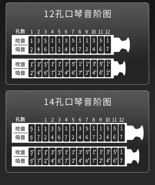 德国257带吹嘴半音阶口琴14孔c调255新手初学 255 【12孔半音阶口琴】