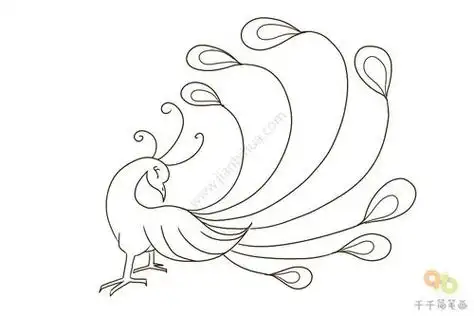 凤凰简笔画图片大全 凤凰怎么画 凤凰儿童简笔画的画法 亲子简笔画