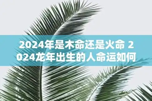 2024年是木命还是火命 2024龙年出生的人命运如何