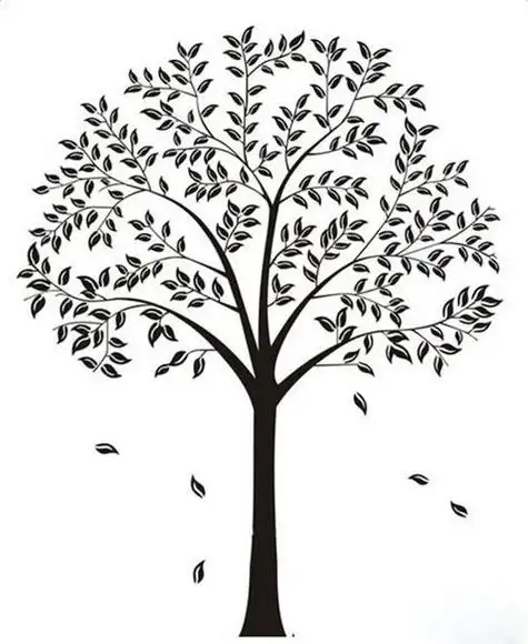 儿童简单的生命树简笔画