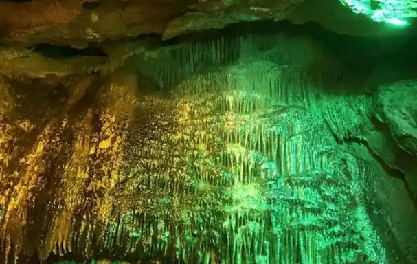 想看到罕见的萤火虫奇观,那就来山东沂水萤火虫水洞!