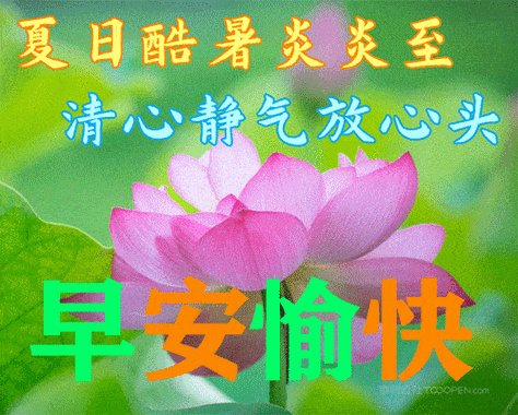 6月24日最新早上好祝福动态表情图片大全早上好问候语句子