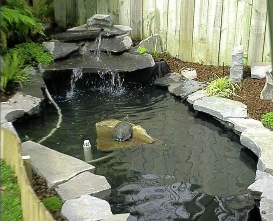 宠物:如何建造一个龟池