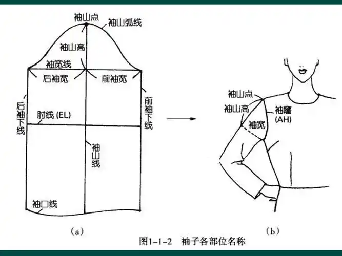 袖子结构设计原理ppt