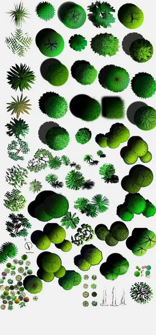 景观园林彩平图psd素材植物手绘辅装ps后期立面平面图设计效果图