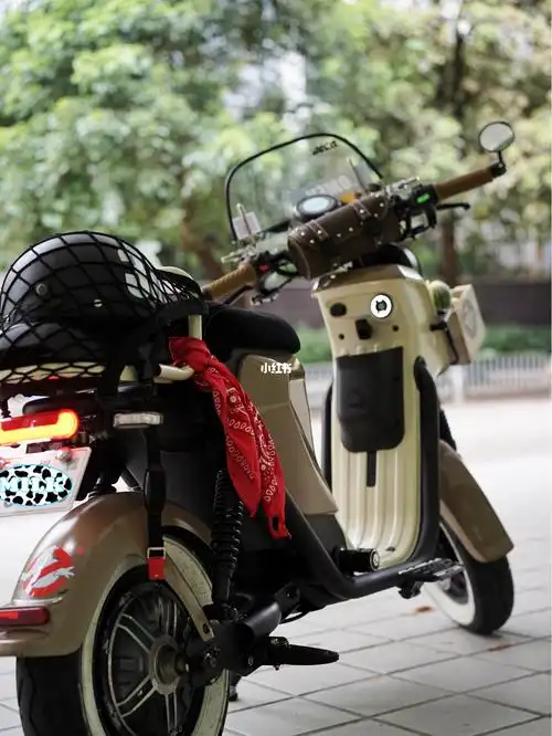 小牛uqi u1c改装个性案例分享