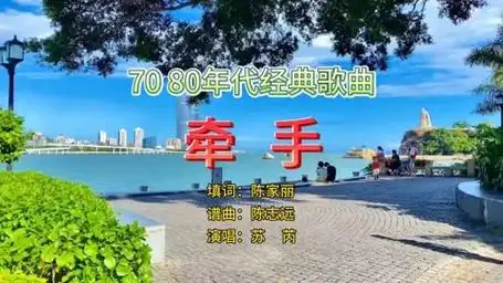 《牵手》70 80年代经典歌曲,演唱苏芮